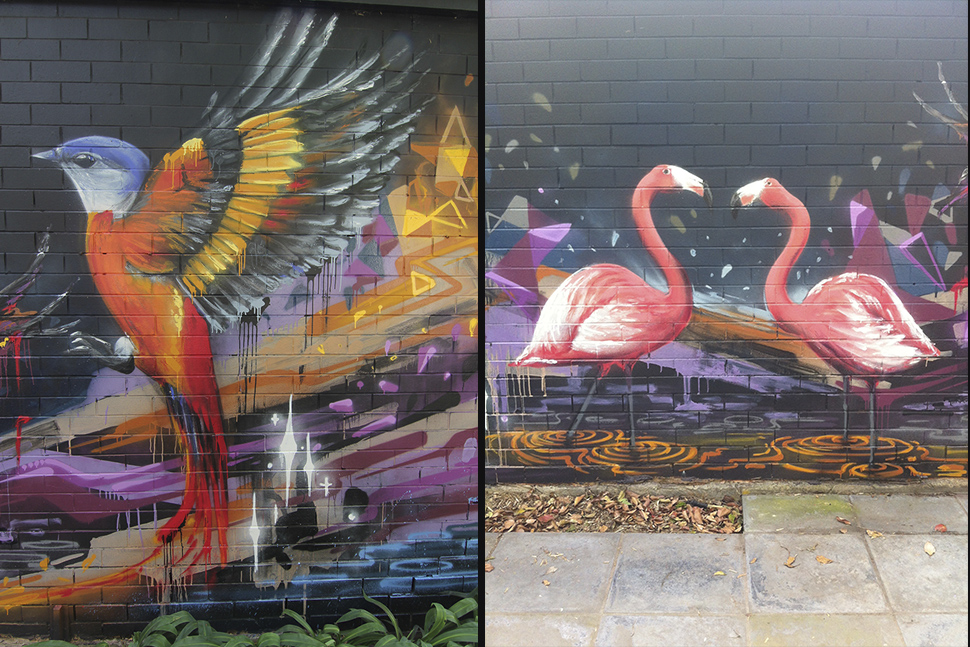 Outdoor graffiti mural of birds