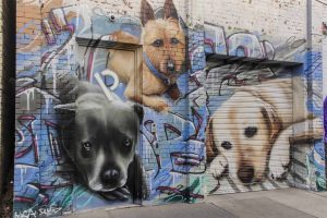 Dog Portrait Wall Art