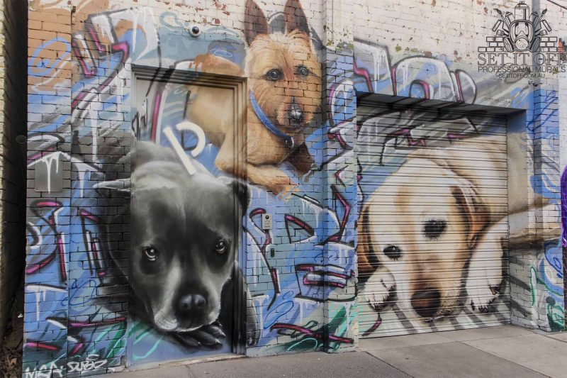 Dog Portrait Wall Art - Set It Off Graffiti Artist for hire