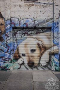 Portraits of dogs on garage door.